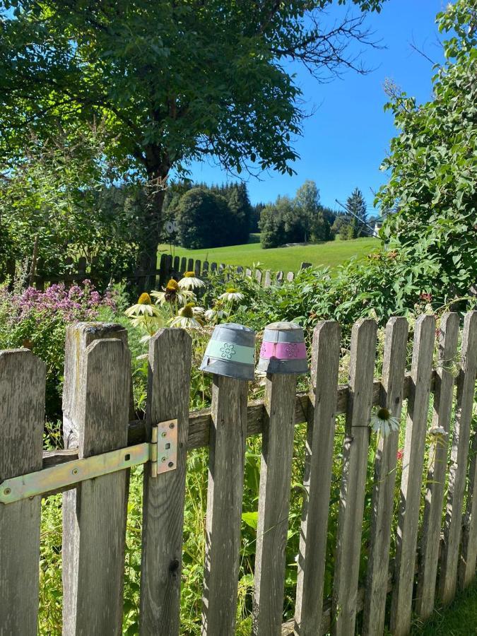 Pension Trillerhof Ramsau am Dachstein Kültér fotó