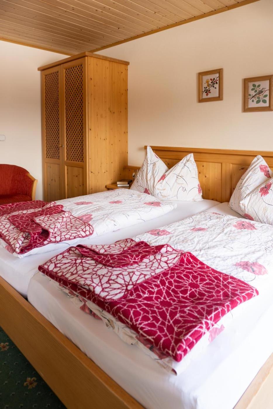 Pension Trillerhof Ramsau am Dachstein Kültér fotó