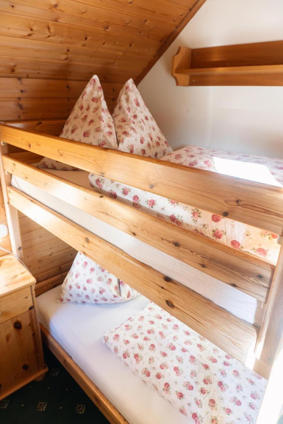 Pension Trillerhof Ramsau am Dachstein Kültér fotó