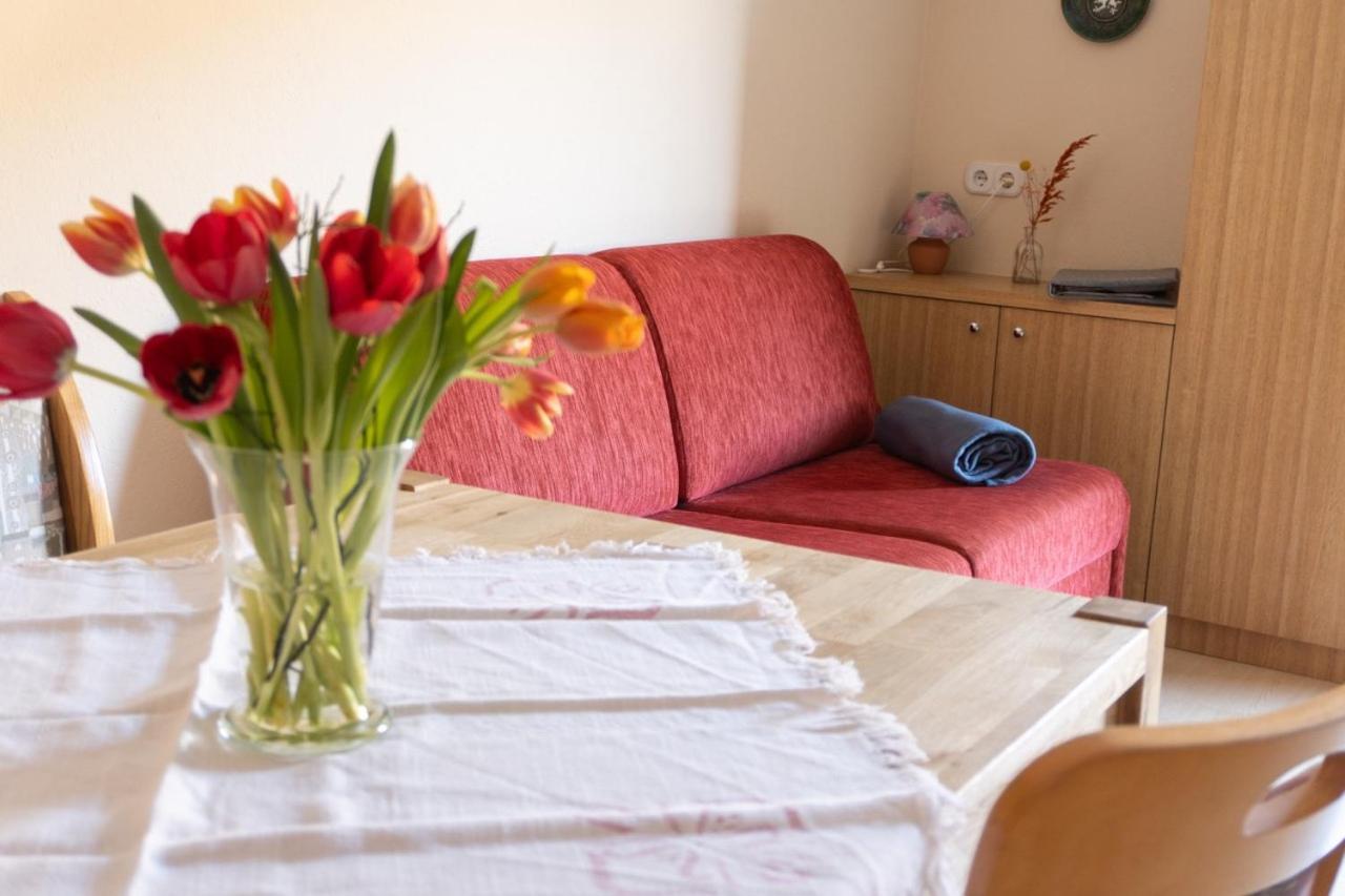 Pension Trillerhof Ramsau am Dachstein Kültér fotó
