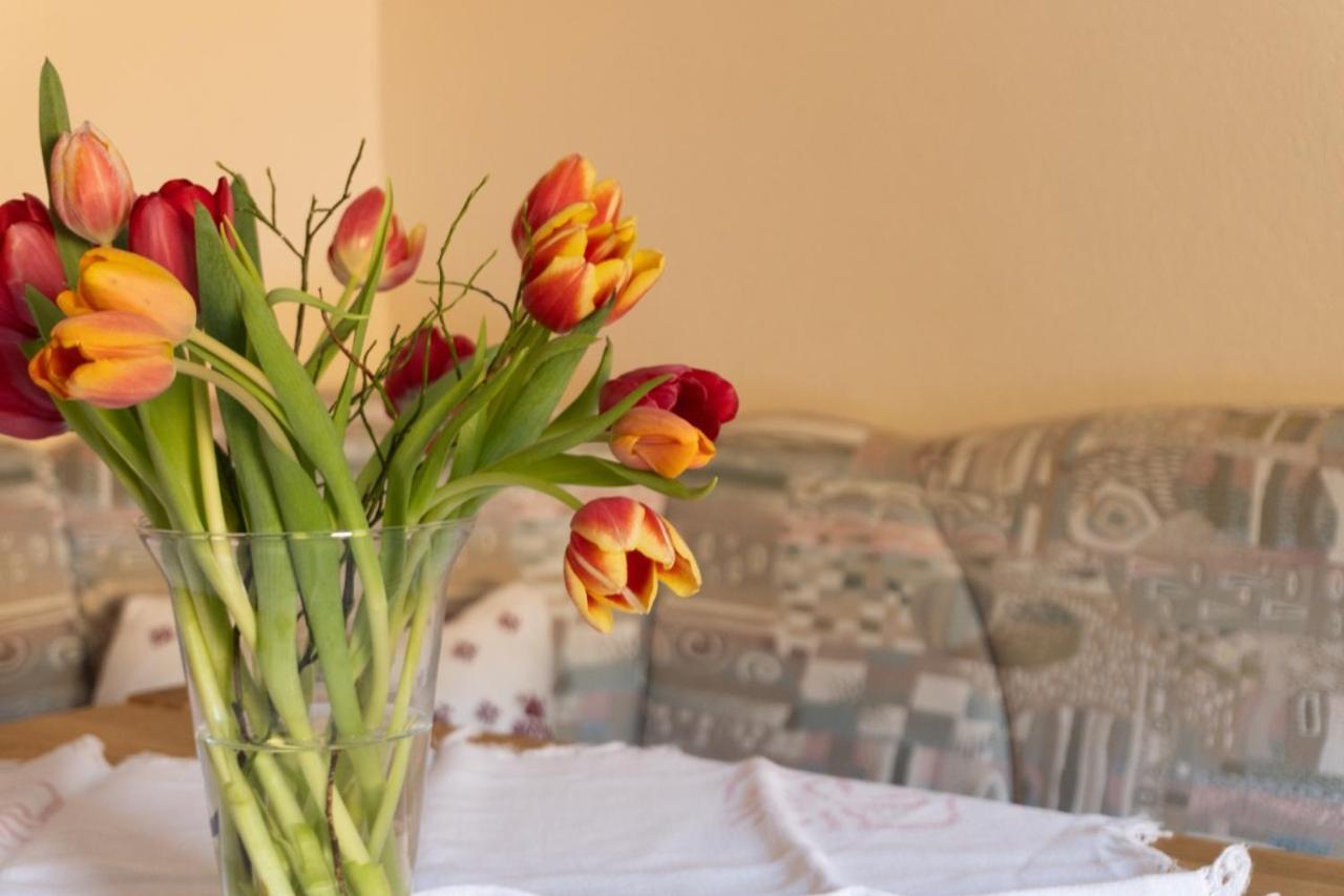 Pension Trillerhof Ramsau am Dachstein Kültér fotó