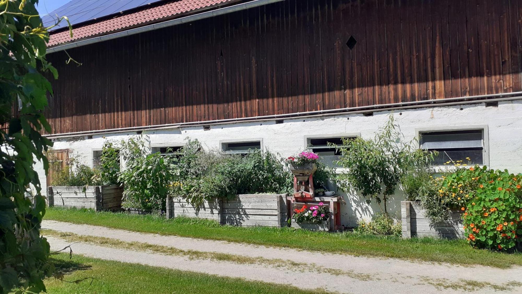 Pension Trillerhof Ramsau am Dachstein Kültér fotó