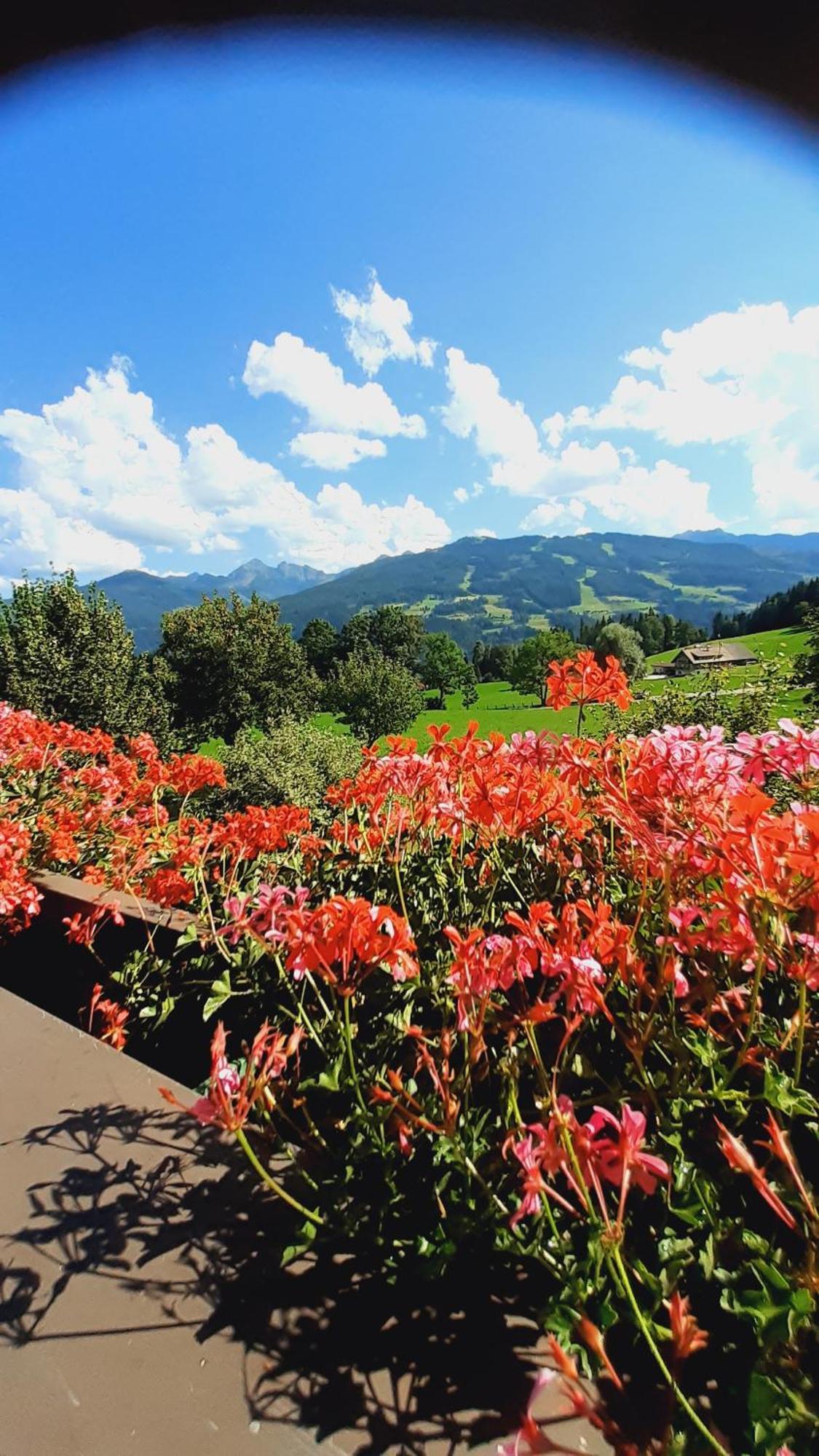 Pension Trillerhof Ramsau am Dachstein Kültér fotó