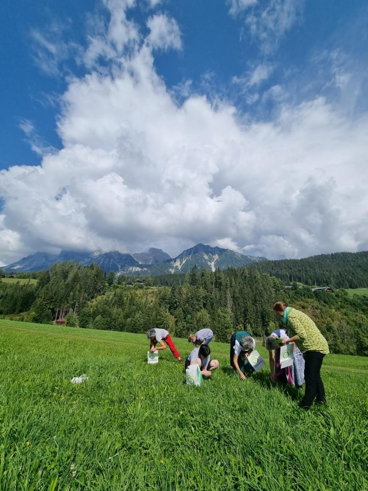 Pension Trillerhof Ramsau am Dachstein Kültér fotó