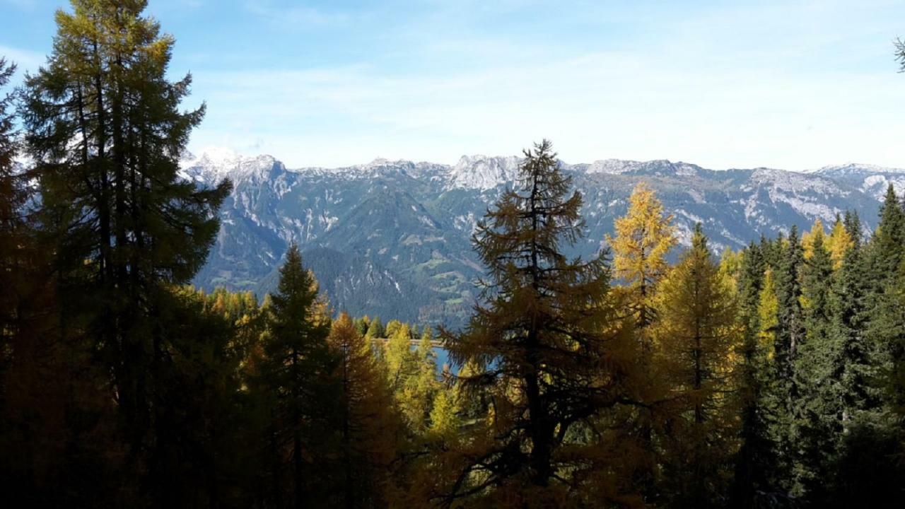 Pension Trillerhof Ramsau am Dachstein Kültér fotó