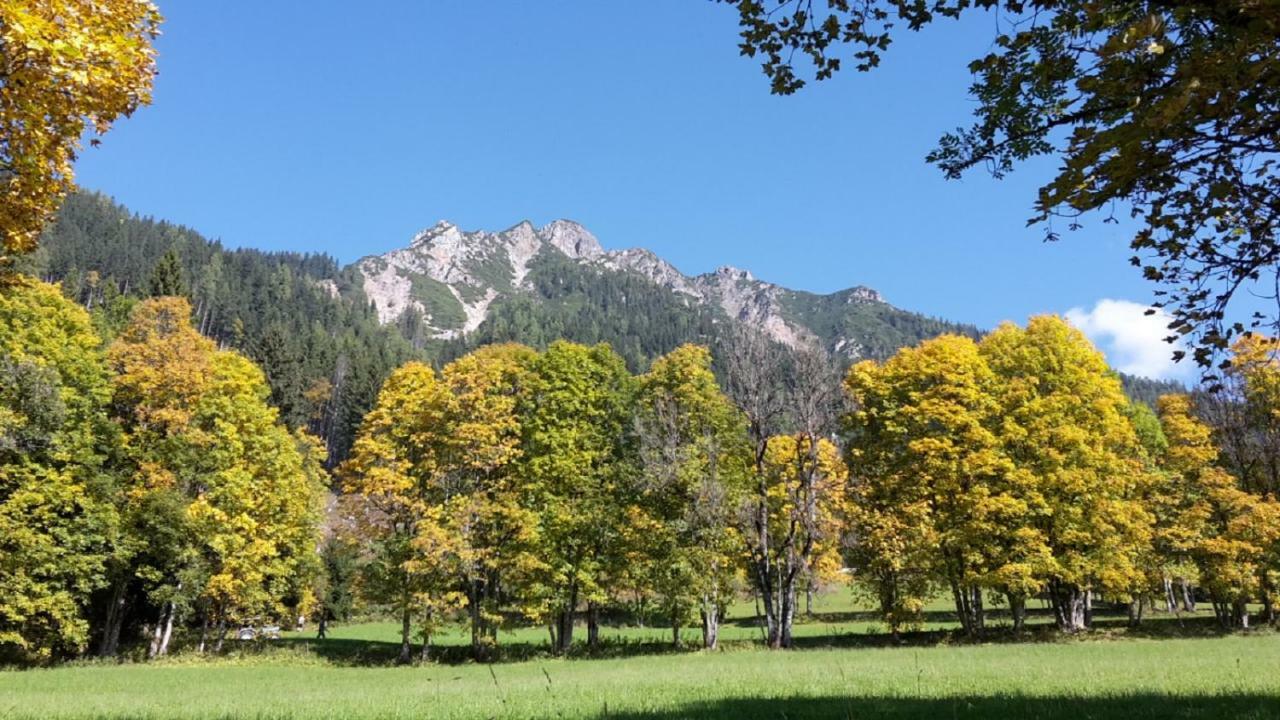 Pension Trillerhof Ramsau am Dachstein Kültér fotó