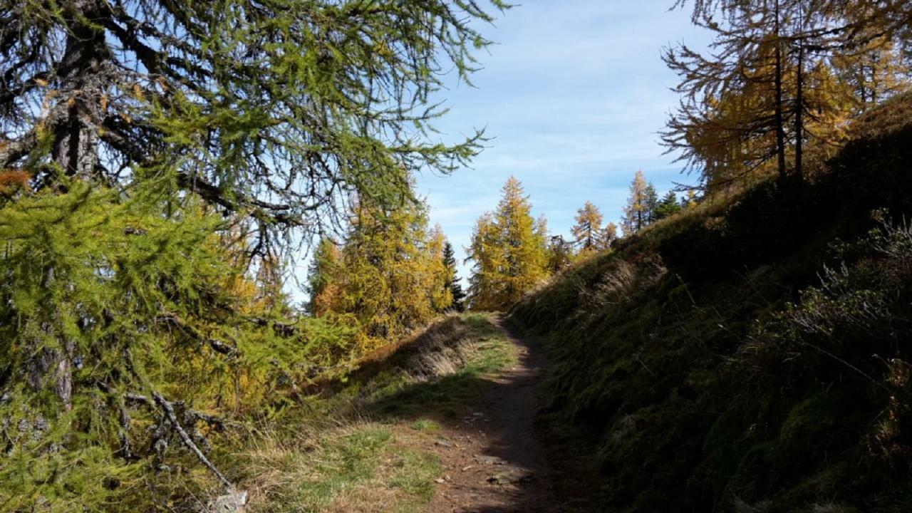 Pension Trillerhof Ramsau am Dachstein Kültér fotó