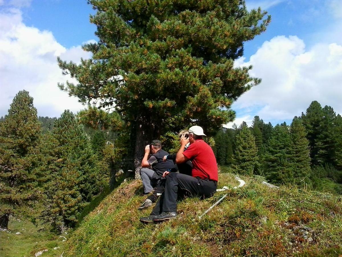 Pension Trillerhof Ramsau am Dachstein Kültér fotó