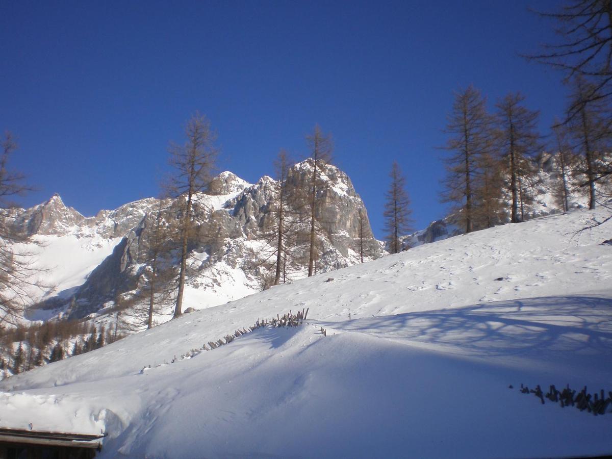 Pension Trillerhof Ramsau am Dachstein Kültér fotó